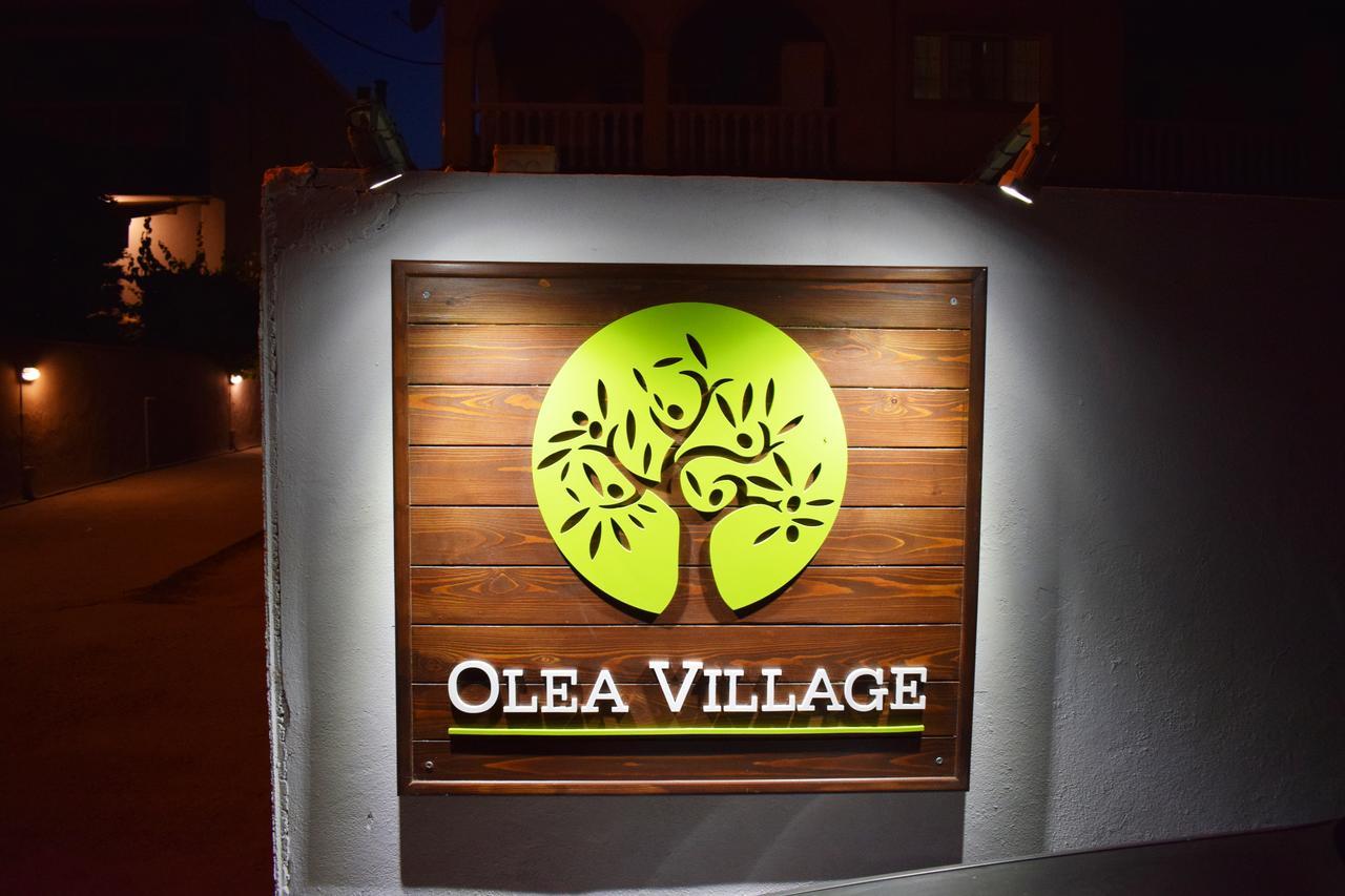 Case de vacanță Olea Village